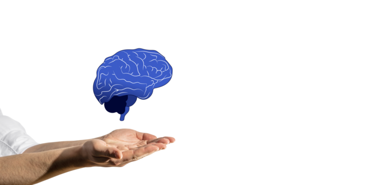 Human hands offering a blue brain illustration above them on a white background. Concept of knowledge transfer and intelligence