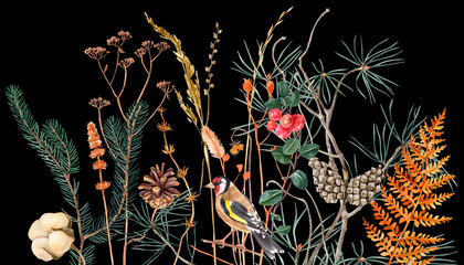 Obraz premium Wild watercolor autumn herbs and branches with goldfinch. Autumn or winter meadow on black background. Soft natural colors. Boho rustic style