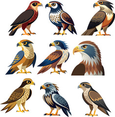 Nine various species of hawks perched and looking around