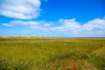 Wide landscape on the coast of Denmark with dunes in the background