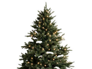 A beautifully decorated Christmas tree adorned with twinkling lights and snow-covered branches, perfect for holiday celebrations.