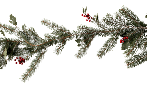 Festive evergreen branch adorned with snow and berries, perfect for holiday decorations and winter themes.