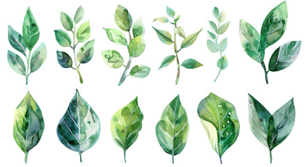 Set of watercolor green leaves in different shapes and sizes, ideal for botanical designs, nature-themed art, and eco-friendly projects.