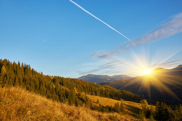Beautiful autumn in the mountain forest.