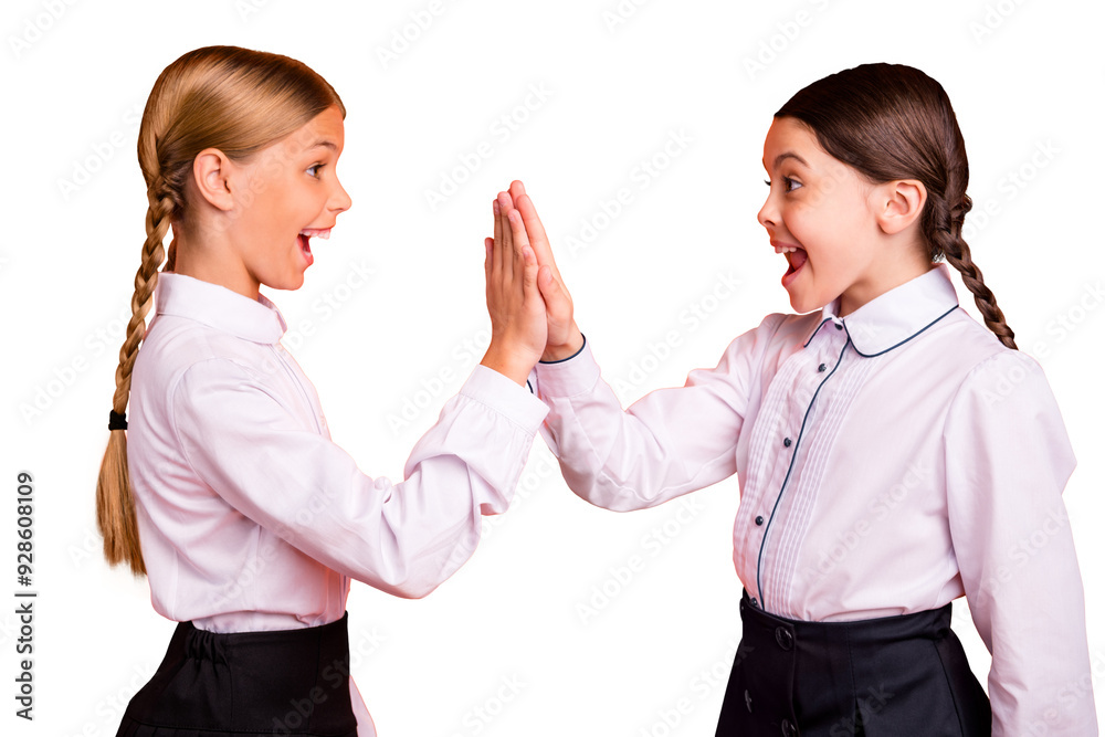 Canvas Prints Profile side view portrait of two person nice attractive lovely charming cute cheerful cheery pre-teen girls clapping palms agree isolated over bright vivid shine orange background