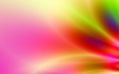 Floral pattern nature summer meadow illustration