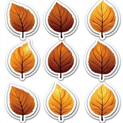Collection of Eight Autumn Leaves with Different Colors and Shapes