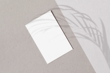 Business card png mockup, transparent design