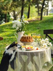 Chamomile flowers, books, glass teapot and cup with herbal tea on table in garden, natural background. summer season. relax time. useful calming tea. tea party outdoor