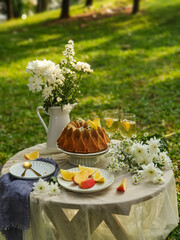 Chamomile flowers, books, glass teapot and cup with herbal tea on table in garden, natural background. summer season. relax time. useful calming tea. tea party outdoor
