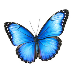 Fototapeta premium A vibrant blue butterfly, isolated on a white or transparent background