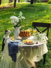 Chamomile flowers, books, glass teapot and cup with herbal tea on table in garden, natural background. summer season. relax time. useful calming tea. tea party outdoor