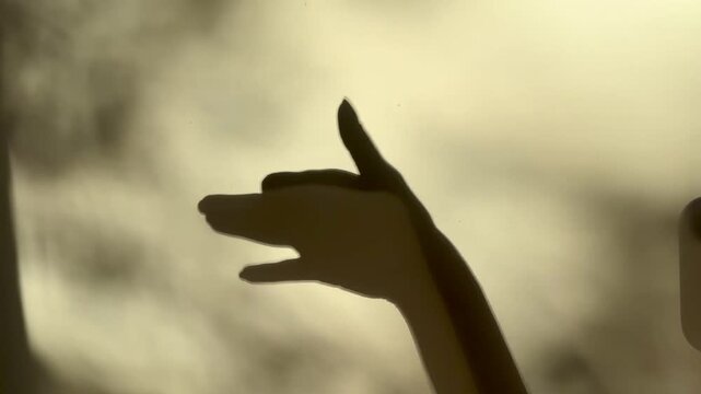 hand shadow on the wall, dog sign