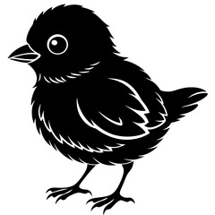 A baby bird Silhouette