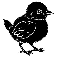A baby bird Silhouette