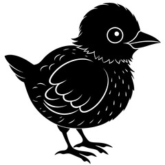 A baby bird Silhouette