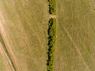 Field with Collected Hay Aerial View