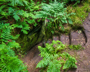Heading down the winding set of steps carved into the rocks many etchings such as Celtic crosses,...