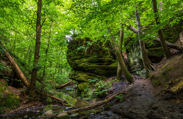 Obraz premium Steps leading down through the rock face from the Alter Stone to gorge in Kinaldy Burn
