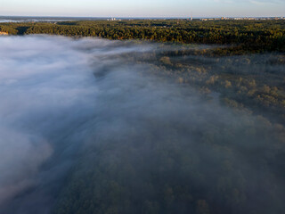 Sunrise Over Foggy Forest Landscape