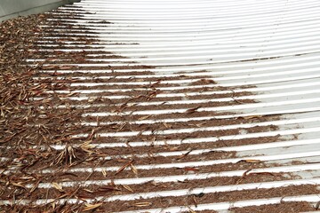 Dried leaves and branches on the roof