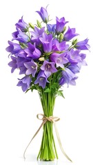 Bell flower Bouquet Isolated on a White Background