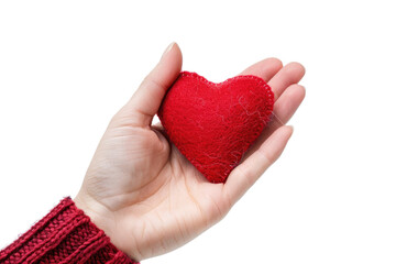 Obraz premium female hand holding red fluffy heart isolated