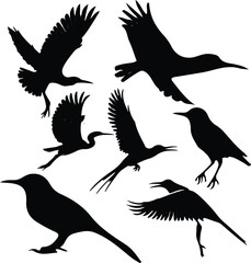 Obraz premium silhouette cats vector