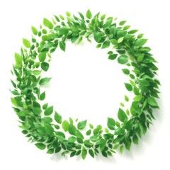 白背景の新緑のフレーム