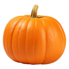 Fototapeta premium PNG Vegetable pumpkin plant food.