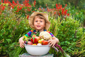 Child with vegetables in the garden. Selective focus.