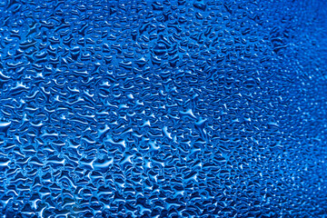 full frame of a blue grass covered in water drops