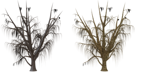 Two variations of a spooky, bare tree