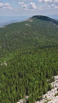 Aerial view of mountain during summer
