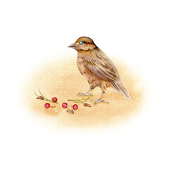 Small yellow bird with seeds and berries on abstract backdrop. Vintage painting of an animal. Hand drawn watercolor illustration isolated from  background. Clip art for natural cards and designs