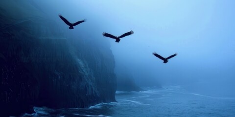 Naklejka premium Mysterious fog envelops a coastal landscape as three birds soar serenely against a backdrop of blue hues.