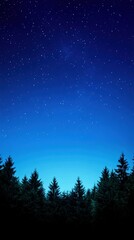 Naklejka premium A serene night sky filled with stars, framed by the silhouette of pine trees, perfect for creating a tranquil atmosphere.