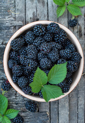Blackberries with leaves in a ceramic bowl on a wooden background..