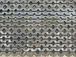 The area is paved with cement blocks placed together to form a pattern.