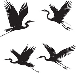 Silhouette of Flying Cranes