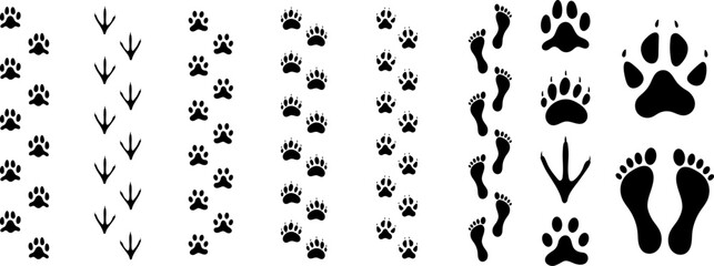 foot prints icons set of human, cat, dog, wolf, bear, chicken with foot prints walking path tracks