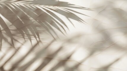 Obraz premium Palm leaf shadows on a wall