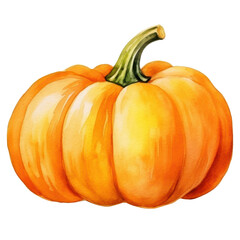Obraz premium PNG Pumpkin vegetable squash plant.