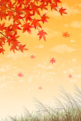 紅葉　ススキ　秋の風景　水彩画　素材　散る　舞う　紅葉狩り　落ち葉　行楽　田舎　ハイキング　登山　秋祭り　文化祭　お彼岸　観光　キャンペーン　夕日　夕陽　シンプル　表紙　ポストカード　ポスター　縦長