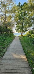 Weg aus Holzbohlen durch einen Wald hindurch, am Ende des Weges das Meer