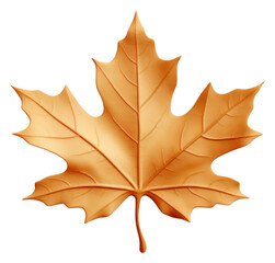 Obraz premium PNG Maple leaf plant tree.