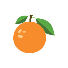 Vector fresh oranges icon. Orange fruits on white isolated background.	