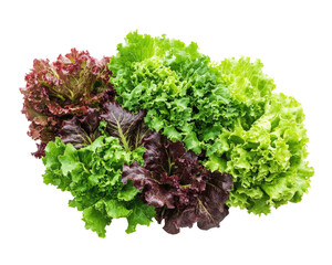 Fototapeta premium A vegetables isolated on white transparent background