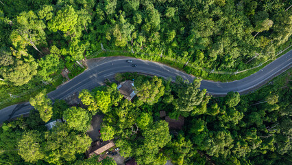 Asphalt rural road on mountain tropical rainforest green tree nature transport background