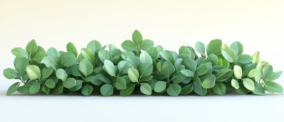 A vibrant arrangement of lush green leaves with a soft background, perfect for nature-themed designs or eco-friendly projects.